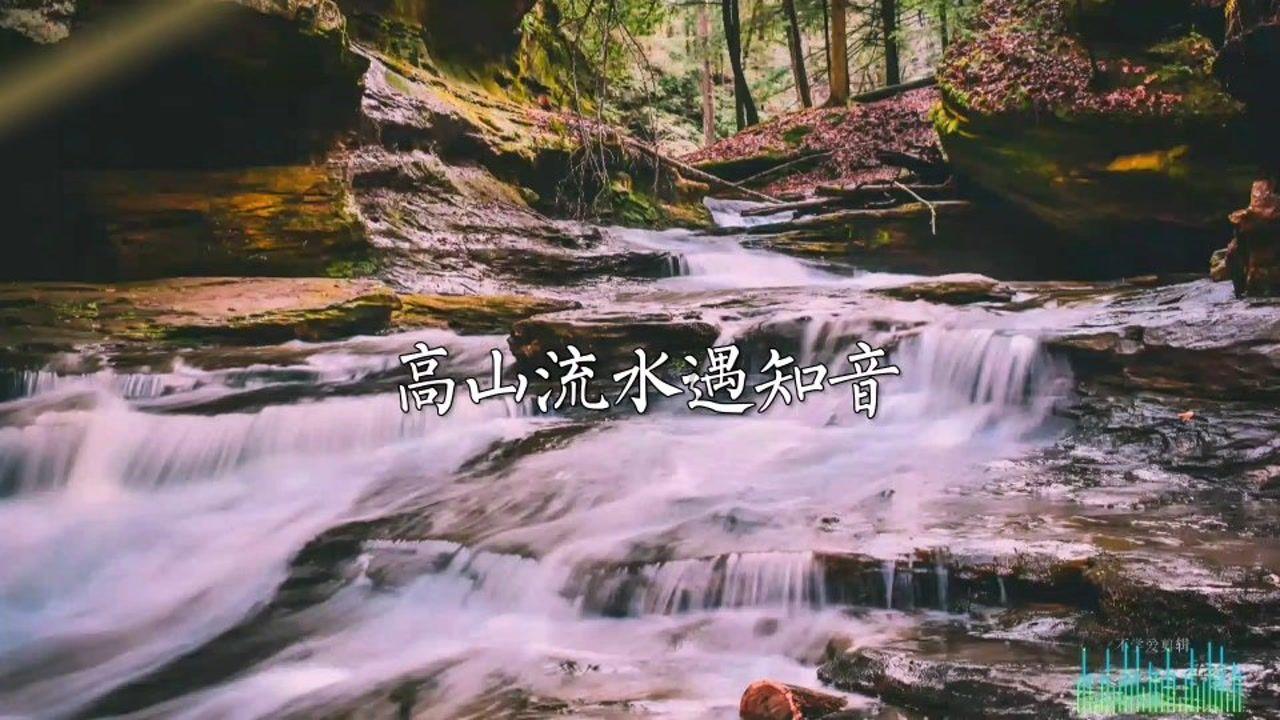 次元喵